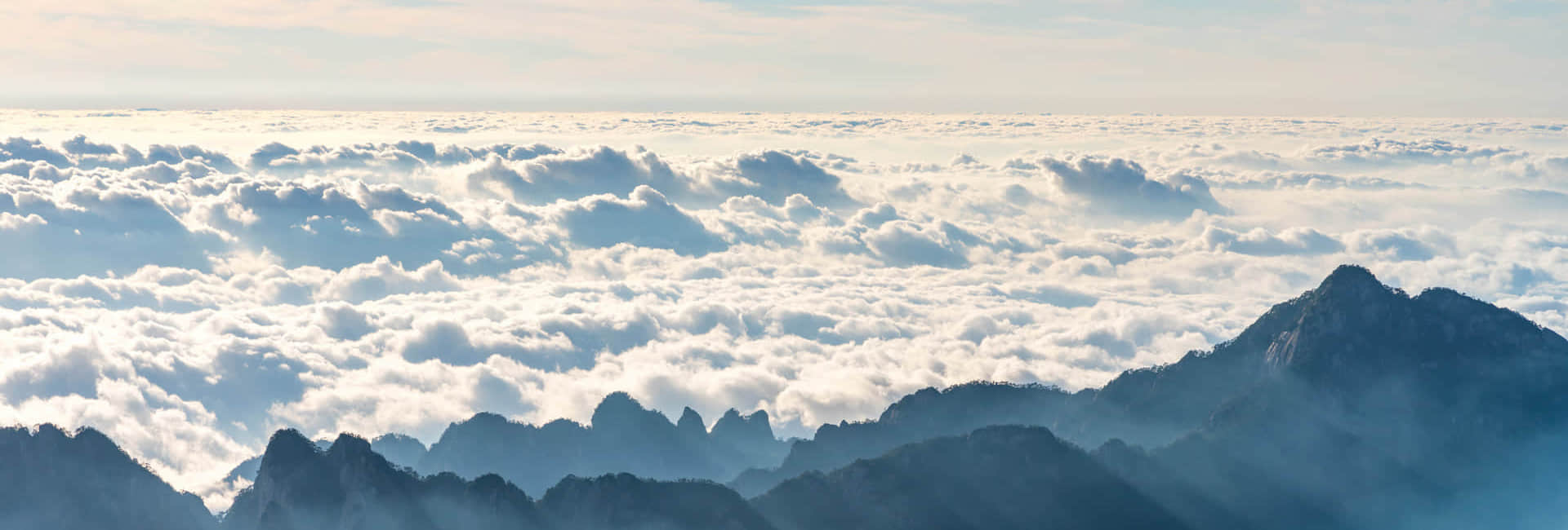 乐鱼在线注册_乐鱼（中国）简介